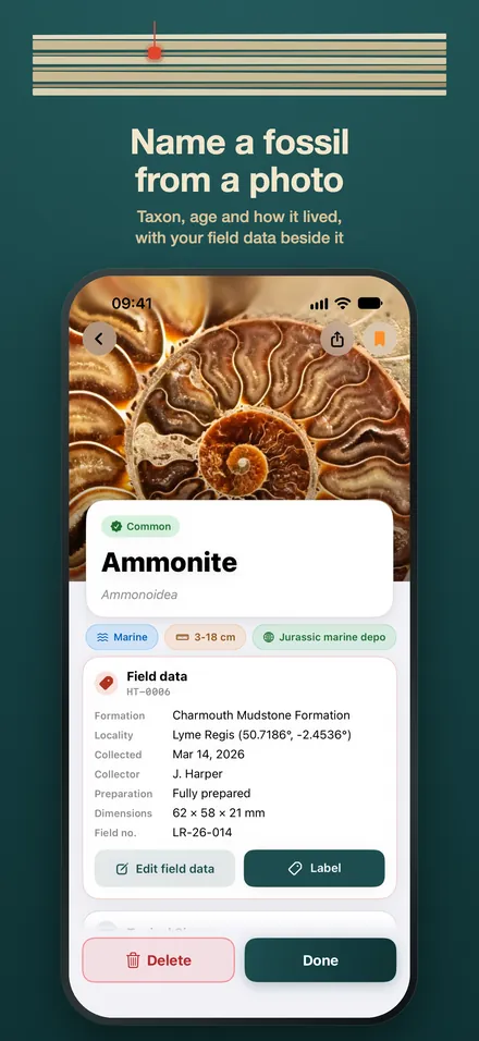 Holotype: Fossil Identifier screenshot 2