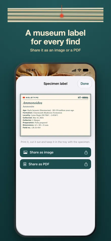 Holotype: Fossil Identifier screenshot 4