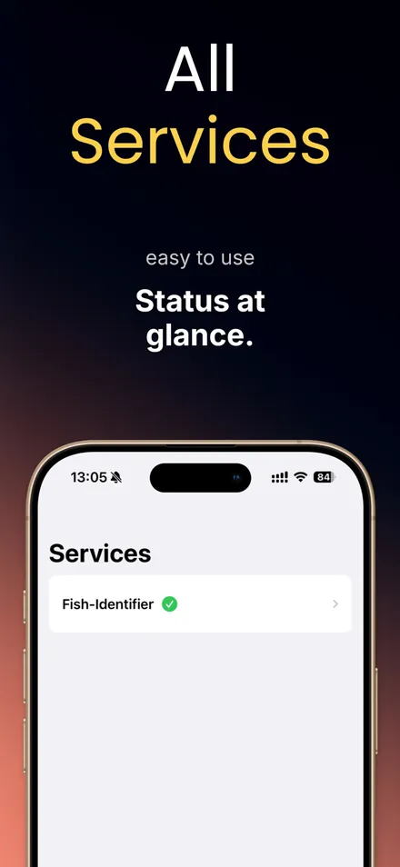 RenDeploy - Deployment Center screenshot 1